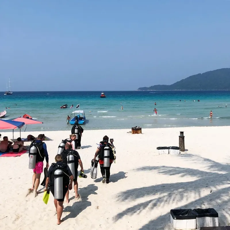 Plongée : groupe de personnes équipées marchant sur une plage ensoleillée