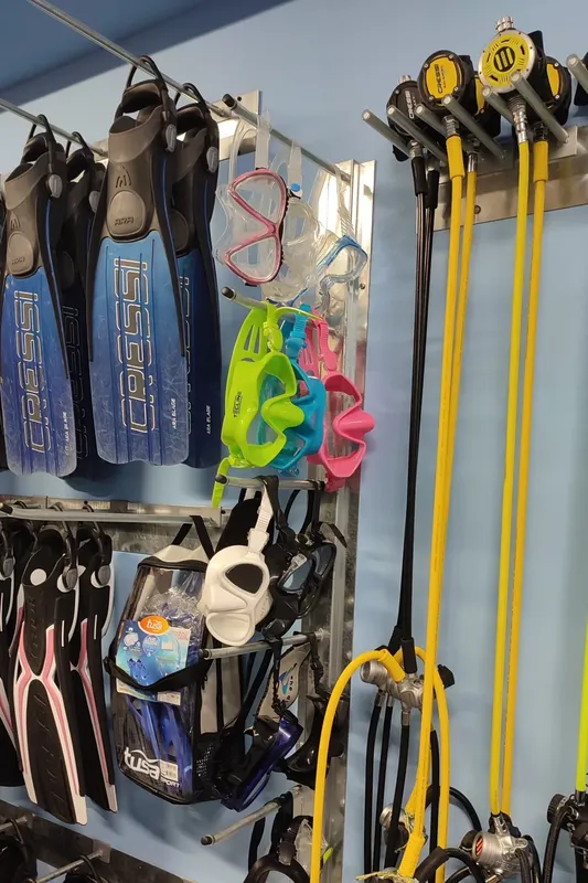 Palmes, masques et détendeurs de plongée accrochés au mur d'un magasin