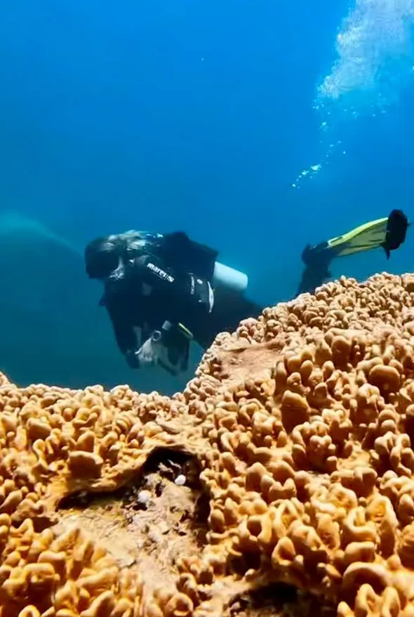 Plongeur explore un récif corallien en eaux bleues et claires
