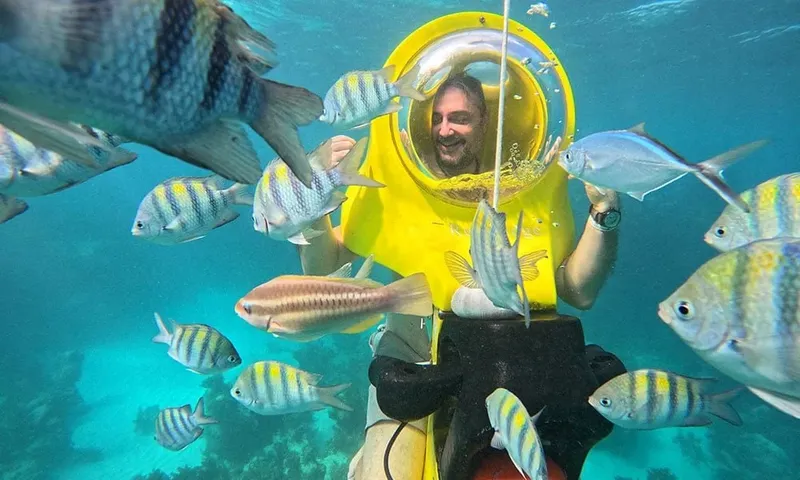 Plongeur sous-marin souriant entouré d'un banc de poissons colorés