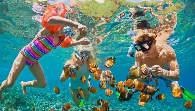 Trois personnes font du snorkeling au milieu d'un banc de poissons colorés