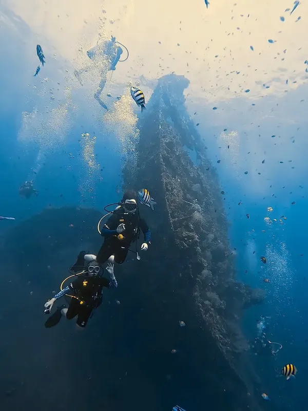 Plongeurs explorant une épave colonisée par de nombreux poissons tropicaux