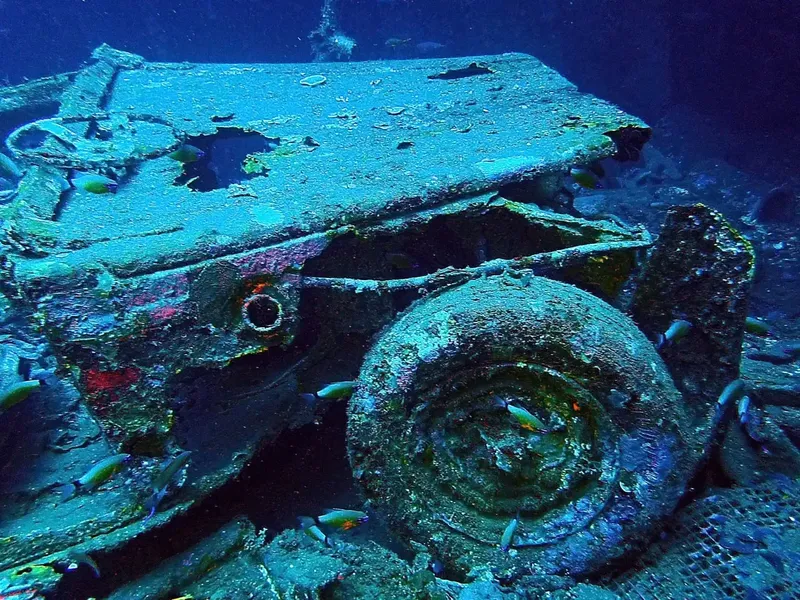 Epave de voiture recouverte d'algues et habitée par des poissons
