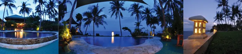 Piscine bordée de végétation luxuriante au crépuscule ambiance tropicale