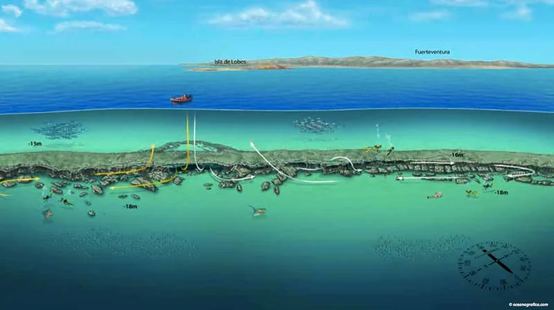 Carte sous-marine d'un site de plongée avec des plongeurs et des poissons
