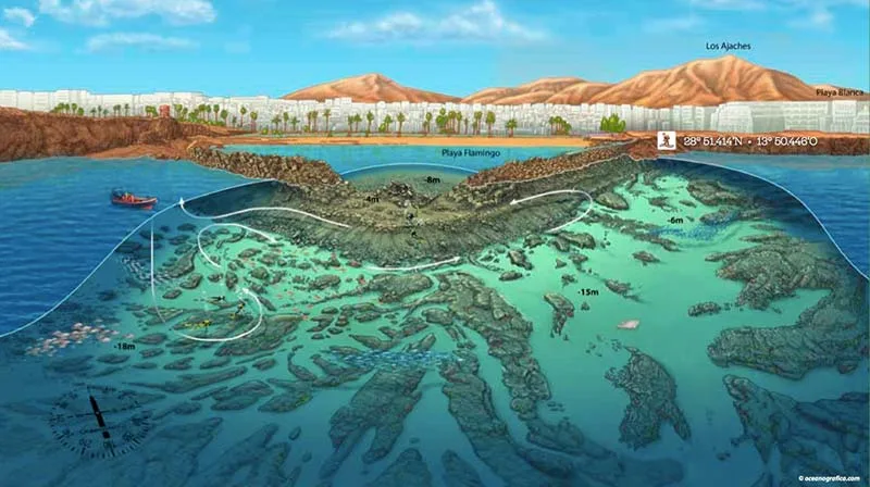 Carte bathymétrique d'un site de plongée rocheux avec profondeur indiquée