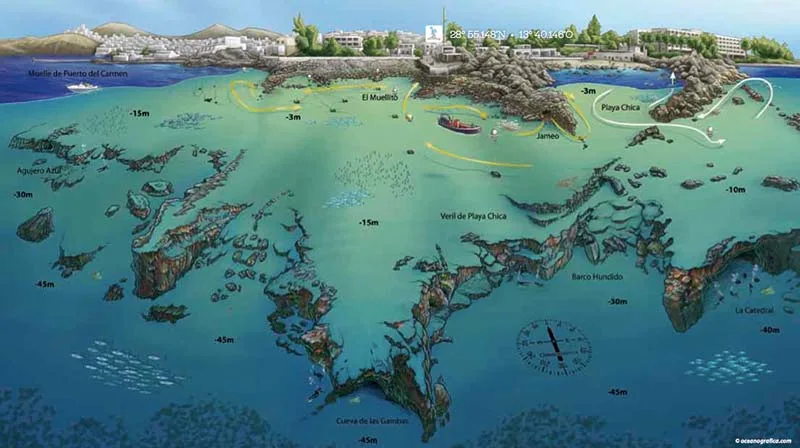 Carte bathymétrique d'un site de plongée avec faune et épaves