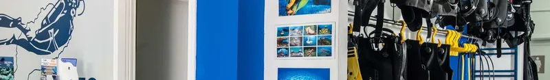 Intérieur d'un centre de plongée avec matériel et photos marines