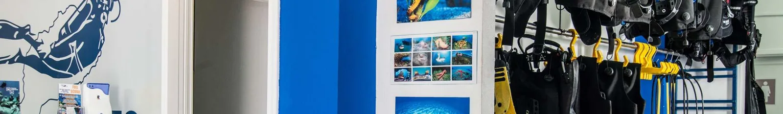 Intérieur d'un centre de plongée avec matériel et photos marines