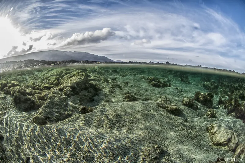 Fond marin rocheux avec surface à la limite de l'air et de l'eau