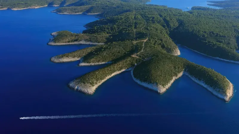 Vue aérienne d'une côte rocheuse avec végétation et un bateau