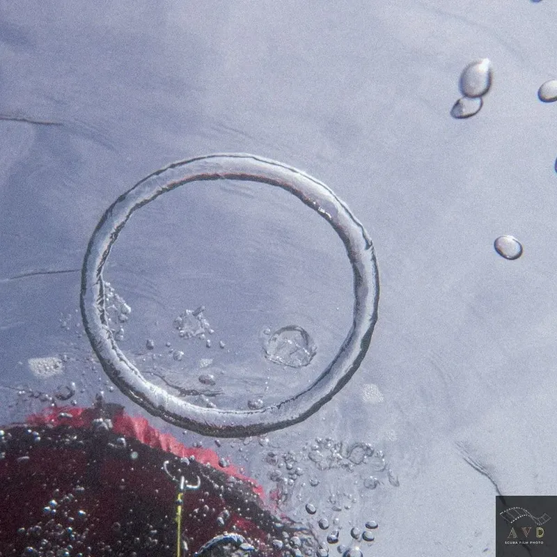 Bulles remontant vers la surface, lumière diffuse, ambiance aquatique sereine