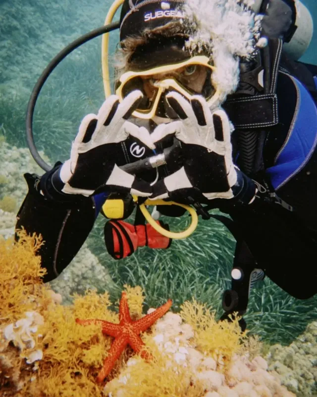Plongeur observant une étoile de mer rouge sur un récif corallien