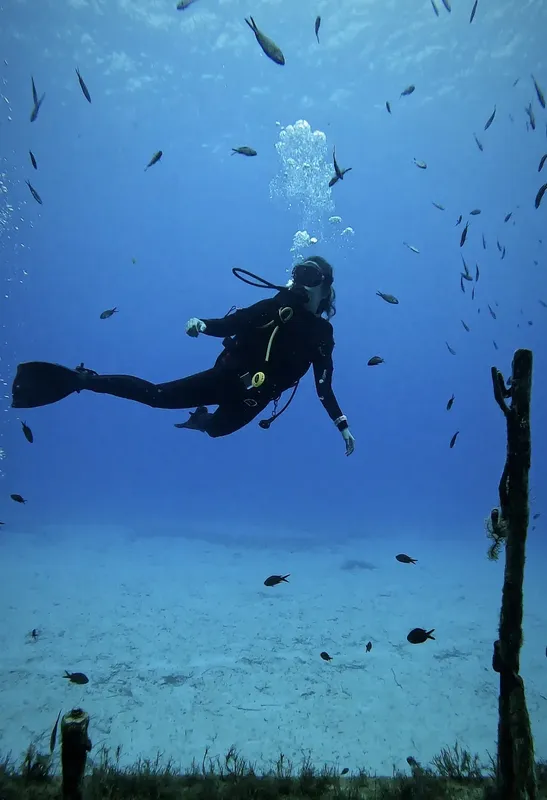 Plongeuse explorant un milieu marin bleu avec de nombreux poissons