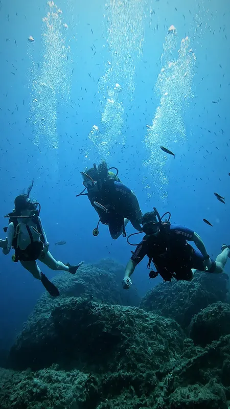 Trois plongeurs explorent un récif corallien avec des bancs de poissons