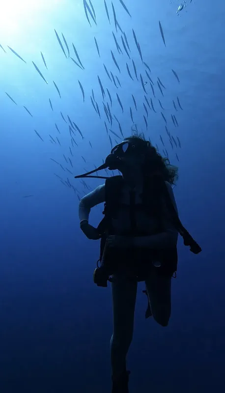 Plongeuse regardant un banc de poissons dans l'eau bleue