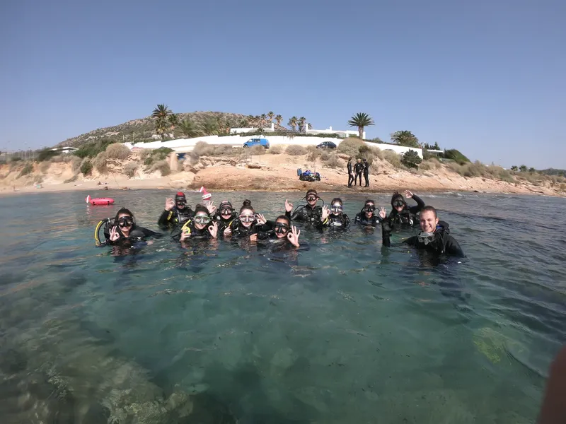 Groupe de plongeurs souriants dans l'eau peu profonde sur une plage