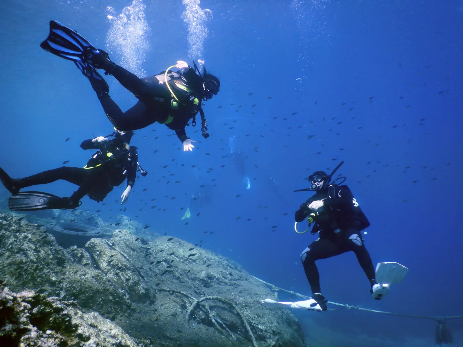 Deep Blue Diving Club