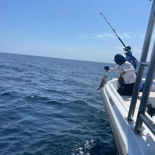 Personnes à bord d'un bateau de plaisance en mer, pêche et détente