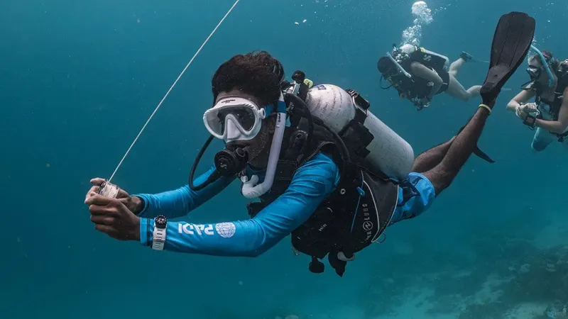 Plongeurs sous-marins en pleine exploration, équipés et en mouvement