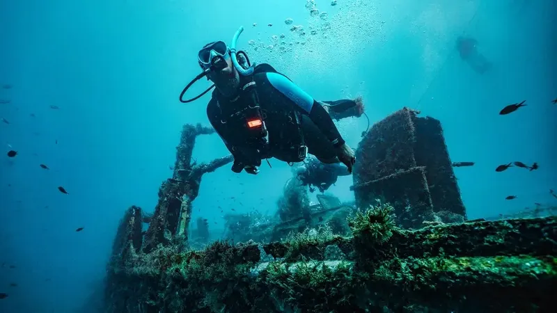 Plongeur explore une épave recouverte d'algues et de petits poissons