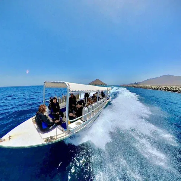 Plongée : un bateau transporte des plongeurs équipés vers un site