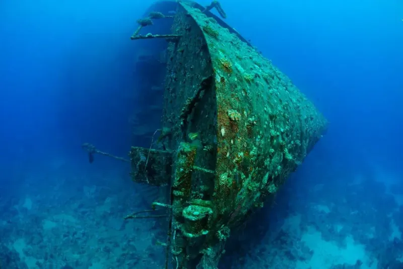 Épave de bateau coulé, colonisée par la vie marine, fond sablonneux