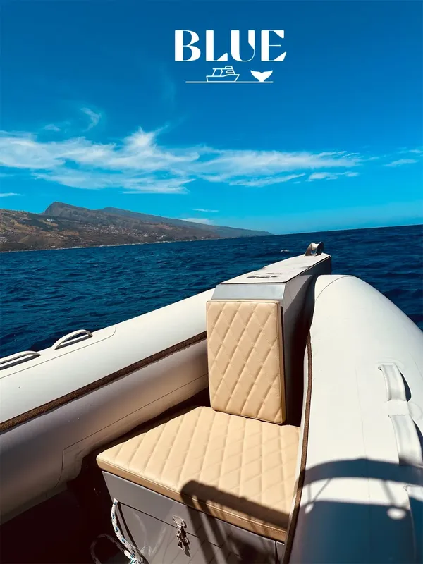 Bateau semi-rigide blanc et bleu naviguant sur une mer calme ensoleillée