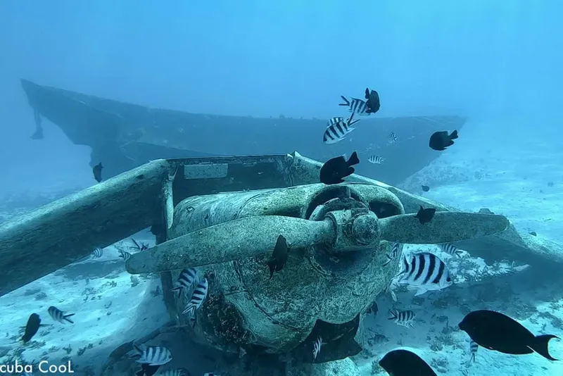 Épave d'avion sous-marine colonisée par de nombreux poissons tropicaux