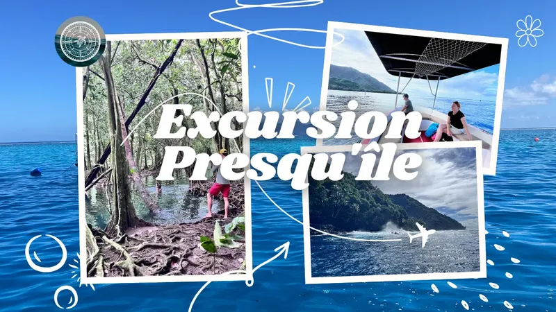 Collage de photos d'une excursion : mer, végétation, personnes et bateau
