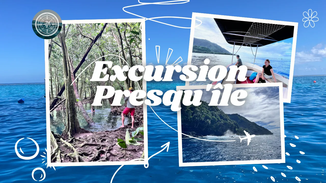Collage de photos d'une excursion : mer, végétation, personnes et bateau