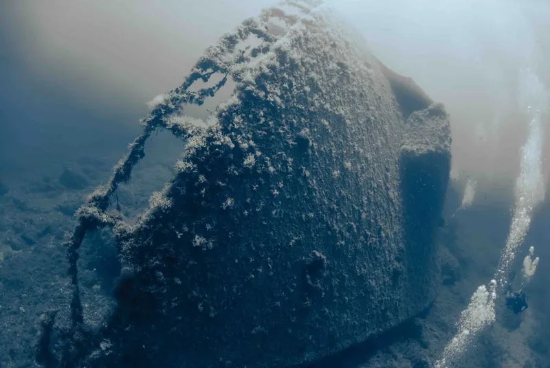 Épave recouverte de vie marine, plongée sous-marine, structure métallique rouillée