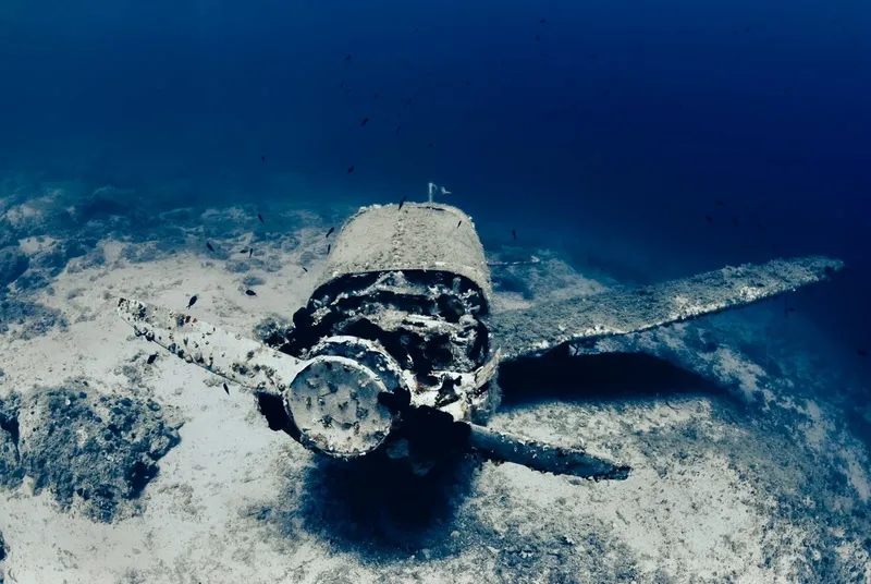 Epave d'avion sous-marine recouverte de coraux et de poissons