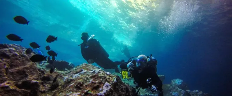 Deux plongeurs explorent un récif corallien avec des poissons tropicaux