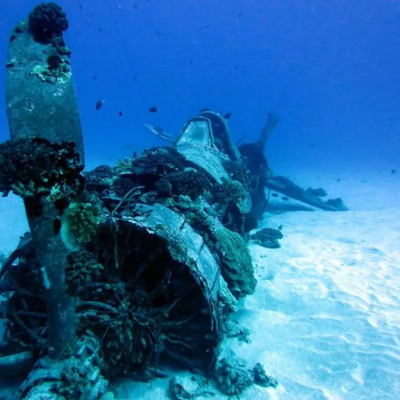 Épave d'avion immergée colonisée par la vie marine et les coraux