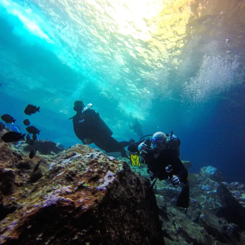 Deux plongeurs explorent un récif rocheux sous la surface de l'eau