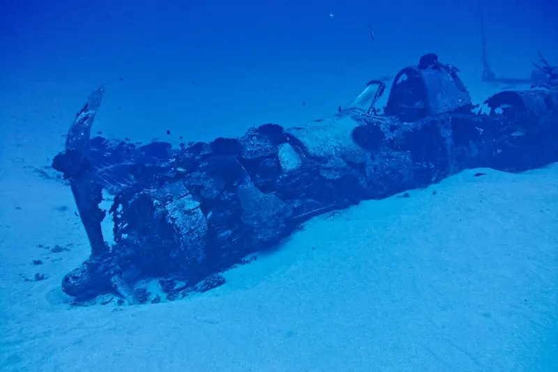 Epave d'avion coulee sur fond sableux en milieu aquatique