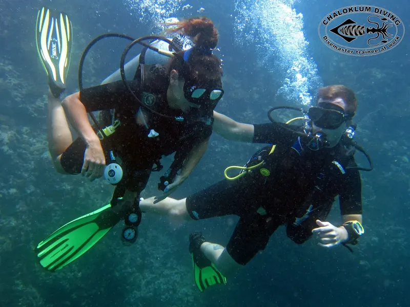 Deux plongeurs en combinaison explorent les fonds marins, visages souriants