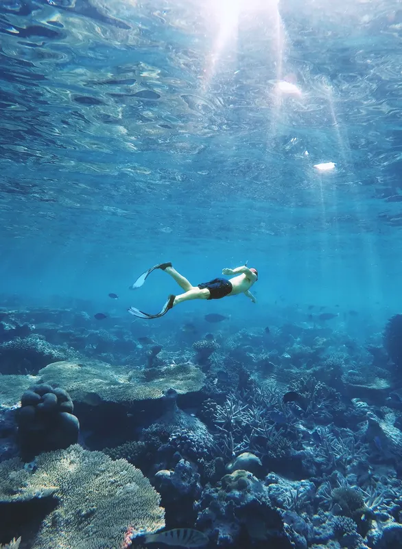 Un nageur explore un récif corallien en eau claire et ensoleillée