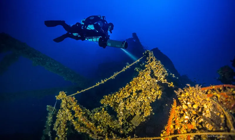 Plongeur explorant une épave recouverte de coraux en milieu aquatique
