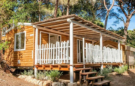 Petites maisons en bois avec toits en chaume et végétation environnante