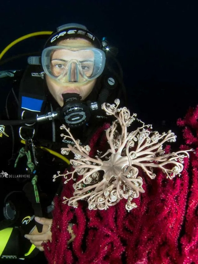 Plongeuse tenant une étoile de mer blanche sur fond corallien rouge