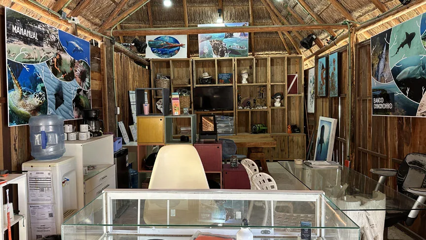 Intérieur d'un bureau avec des affiches de faune marine et des objets