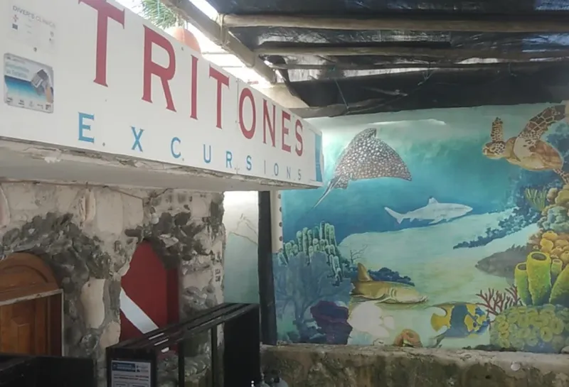 Façade d'un centre de plongée avec raie manta et requin peints