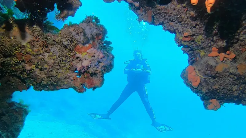 Plongeur explorant une grotte sous-marine avec des éponges colorées
