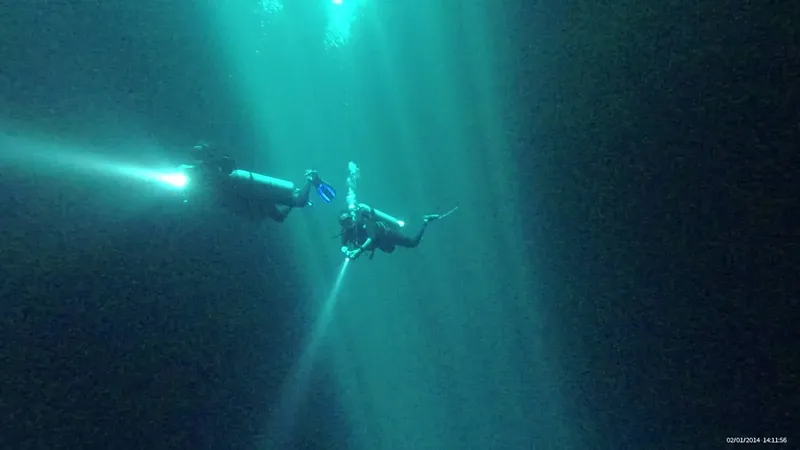 Deux plongeurs explorent un récif sous-marin avec des faisceaux lumineux