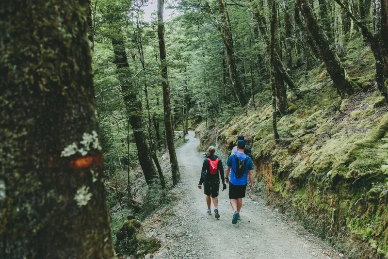 Deux personnes marchent sur un sentier forestier en Nouvelle-Zélande