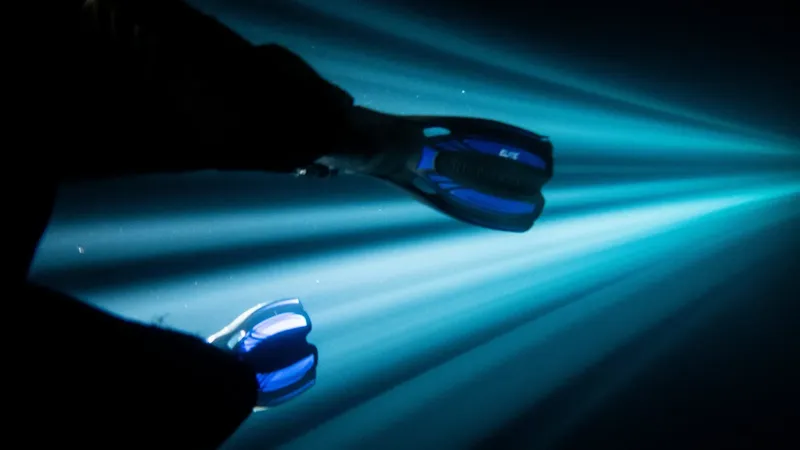 Plaques de palmes bleues dans l'eau sombre, rayons lumineux