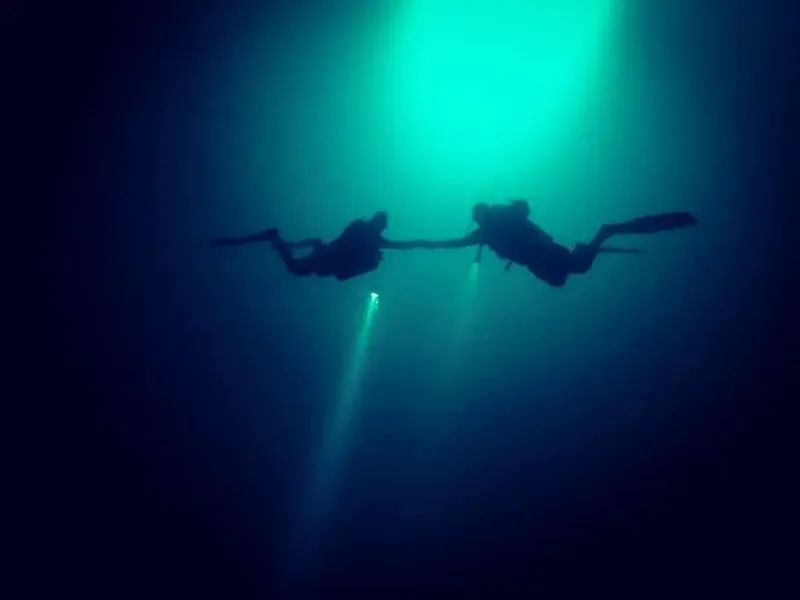 Deux plongeurs explorent les profondeurs bleues, éclairés par le soleil