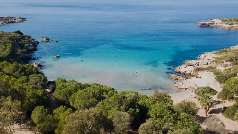 Vue aérienne d'une crique turquoise avec des baigneurs et végétation